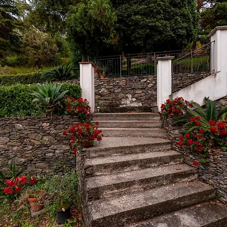 Gospodarstwo agroturystyczne Tecla Capri Leone