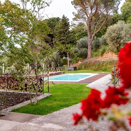 Tecla Capri Leone