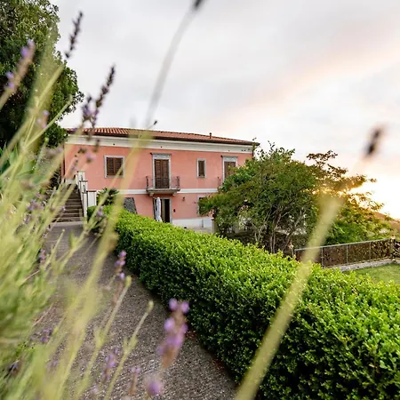 Tecla Farm stay *